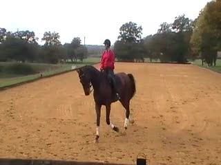 Video Player